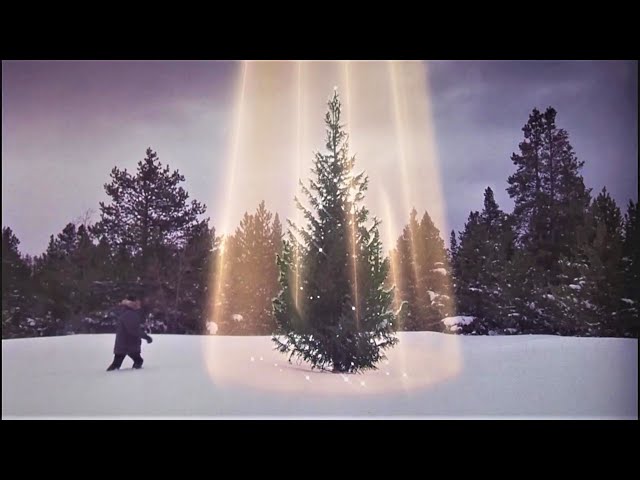 Hap-Hap-Happiest Christmas on *Enemies to Lovers (85/15) DK