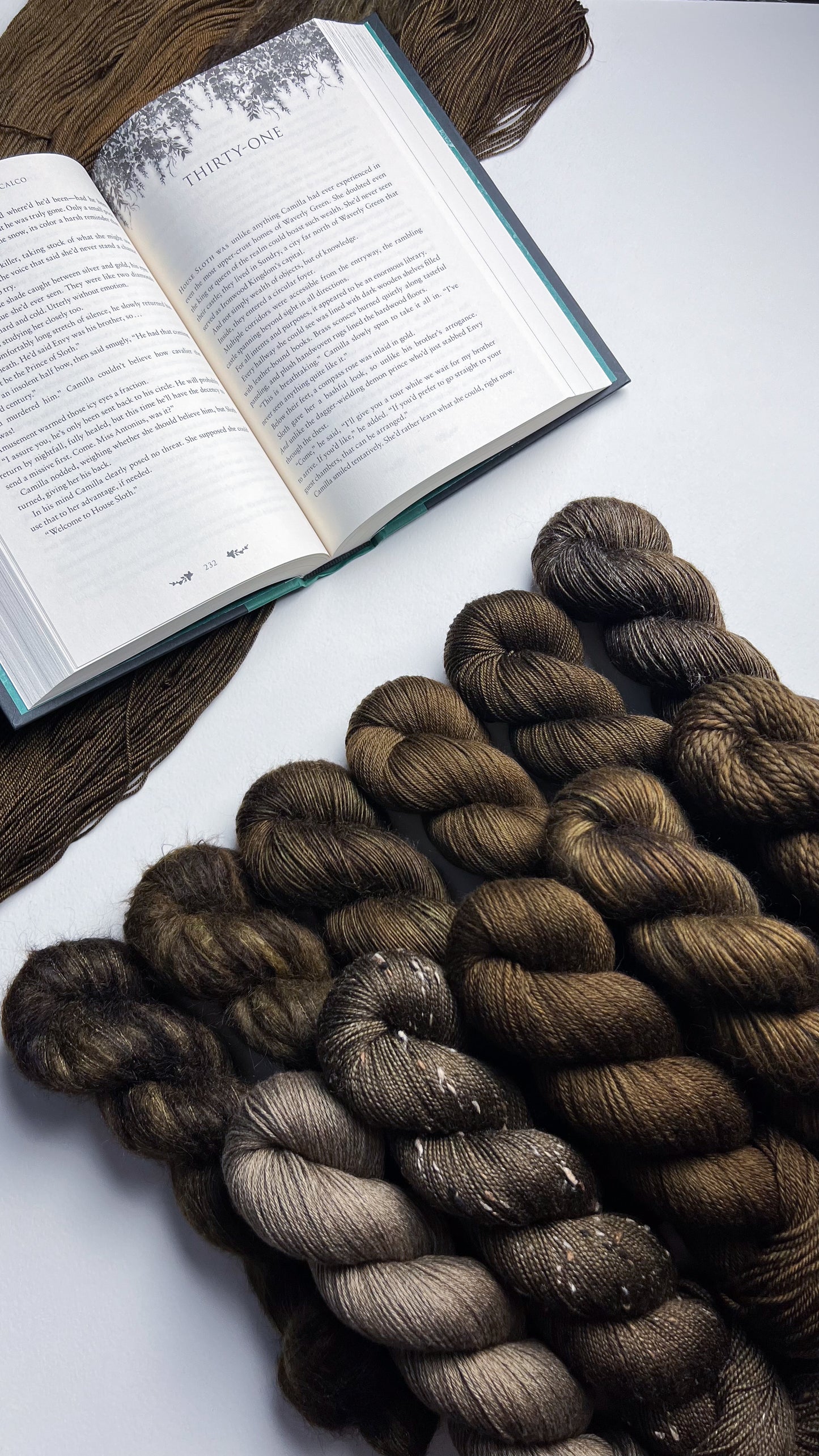 Libros encuadernados en cuero sobre Moralmente gris (MSY) DK