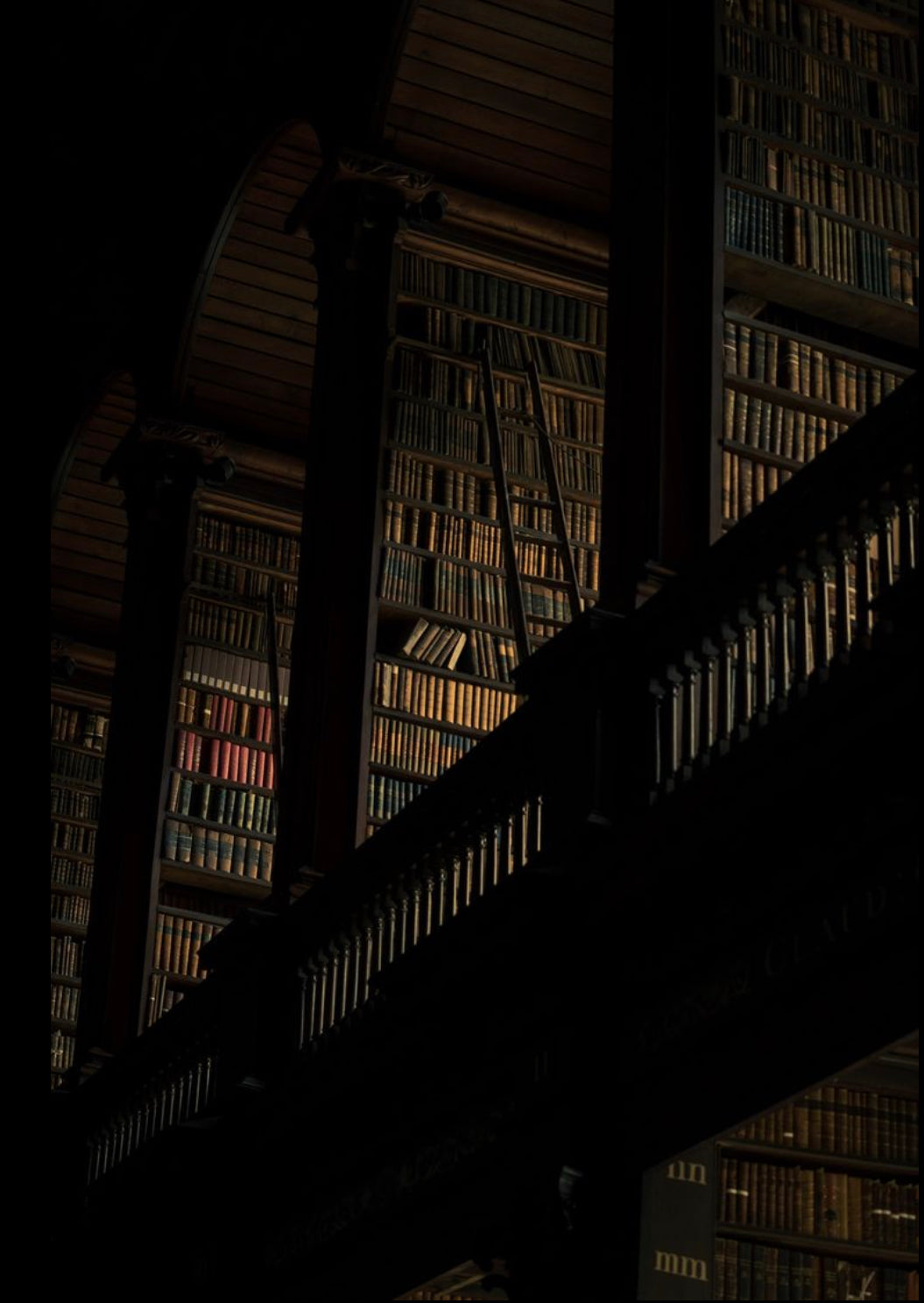 Livres reliés en cuir sur MINE. (AMS) DK